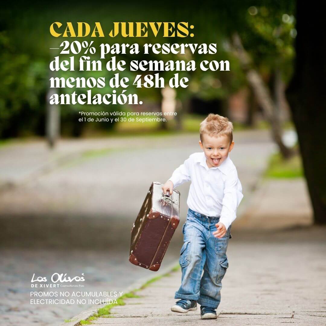 Oferta 4
